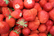 Erdbeeren