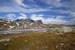 Haukeli in the summer