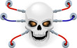 Skull the biorobot