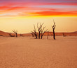 Namib
