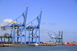 Hafen in Zeebrügge