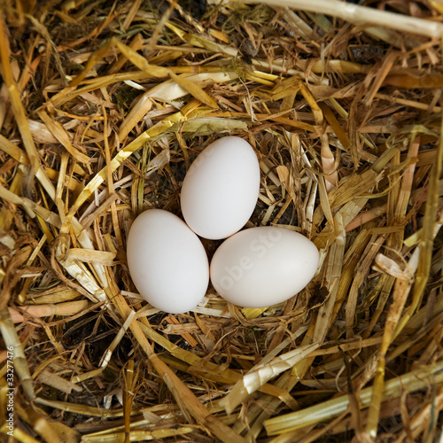 Photo: Fresh eggs Fresh eggs