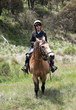 boy and horse