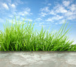 Foto : green grass and concrete floor green grass and concrete floor
