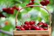 Fresh red cherries Fresh red cherries