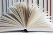 Aufgeschlagenes Buch II