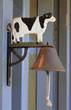 Photo: cow bell cow bell