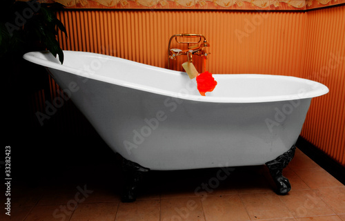 Photo: bathtub bathtub