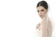 Profile view of beautiful bride dressed in white dress