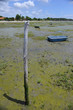 Bassin d'Arcachon