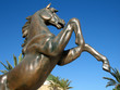 ����: Statua cavallo � Alfi #33285016