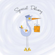 welcome baby card with stork