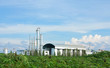 Industry  Tapioca