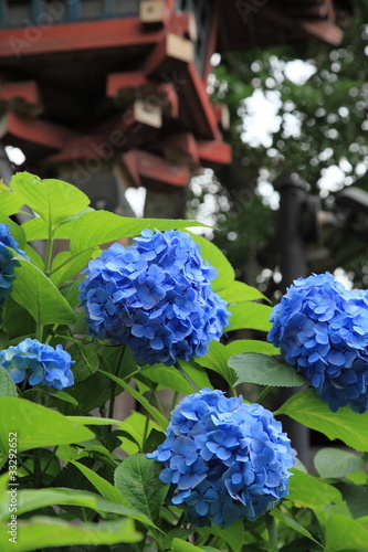 photo par kohashi