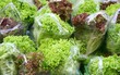 Salat