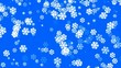 falling snowflake shaped flower pattern,chrismas,xmas,lace falling snowflake shaped flower pattern,chrismas,xmas,lace