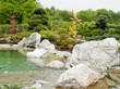 Jardin zen japonais - rocher et étang Jardin zen japonais - rocher et étang