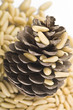Pine nuts on a white background..