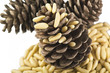 Pine nuts on a white background..