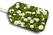 Daisies