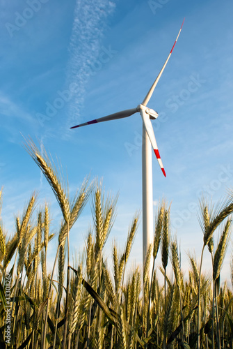 Foto: ein Windrad auf dem Feld ein Windrad auf dem Feld