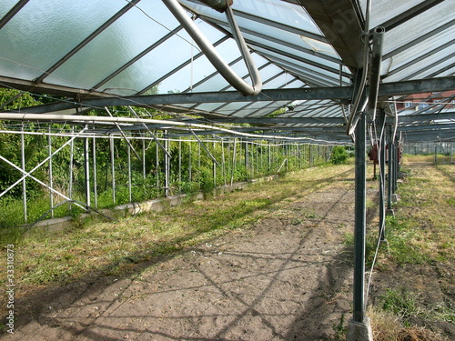Photo: Leeres Gewächshaus mit Glasdach und offenen Seiten Leeres Gewächshaus mit Glasdach und offenen Seiten