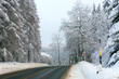White Winter forest in the german Harz