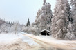 White Winter forest in the german Harz
