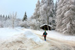 White Winter forest in the german Harz