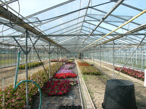 Photo: Gewächshaus mit bunten Blumen in Frankfurt am Main Gewächshaus mit bunten Blumen in Frankfurt am Main