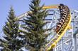 Divo Roller Coaster
