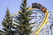 Divo Roller Coaster Divo Roller Coaster