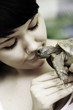 Schildkröte