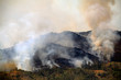 Mountain summer fire