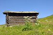 Almhütte am Berg