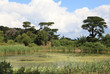 Naturparadies - Insel Porquerolles in Südfrankreich Naturparadies - Insel Porquerolles in Südfrankreich
