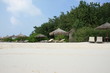 maldive