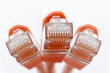 netzwerkkabel orange