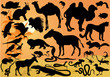 set of desert animals illustration set of desert animals illustration