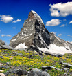 views of the Matterhorn - Swiss Alps