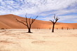 desert Namib,Sossusvlei,Namibia