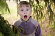 Little boy stays  with open mouth among branches of spuce