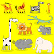 African wild animals