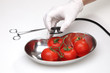 Arzt untersucht Tomaten mit Stethoskop auf Gesundheitsrisiko