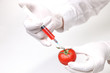 Chemsiche Manipulaton einer Tomate mit Spritze im Labor