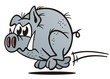 Running Wild Boar