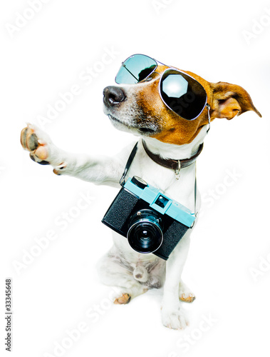 Foto: dog photo camera dog photo camera