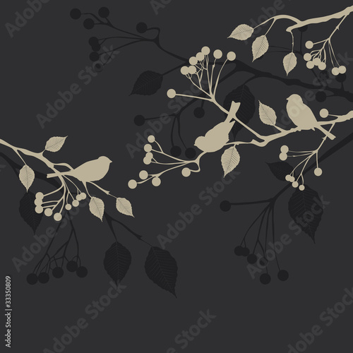 Vektor: Floral Background, birds Floral Background, birds