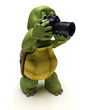 Tortoise with slr camera Tortoise with slr camera