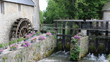 Centre historique de Bayeux - Moulin à eau